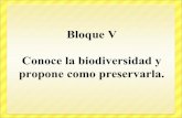 Bloque 5 Biologia I