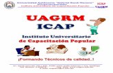 Currículo Institucional icap2010