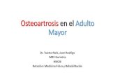 Osteoartrosis en el adulto mayor