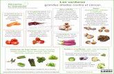 Infografia Las verduras aliadas contra el cancer