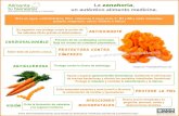 Infografia La zanahoria autentico alimento medicina