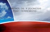Control  de zoonosis y vectores durante la emergencia