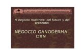Negocio-ganoderma DXN España