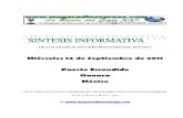 Sintesis informativa 1409 2011