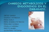 7. Metabolicos Y Endocrinos en el embarazo