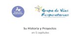 Historia del GVR de la AEPap