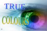 True Colours (Eva del Olmo Torremocha)