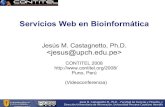 Servicios Web en Bioinformática