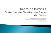 SISTEMA DE GESTION DE BASE DE DATOS SGBD