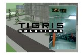 Presentacio tigris solutions 22 12-10