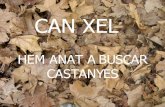Can Xel I Castanyada