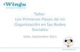 Taller Redes Sociales - Salta 2011