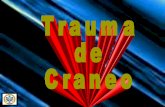 Trauma Craneo Encefálico