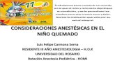 Consideraciones AnestéSicas En El NiñO Quemadoriii2008