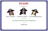Plagio de Veronica Vieito, Alicia Valdivia, y Fernanda Nogueira a obra "La Ciencia Secreta de los Mapuche" cuyo autor es Aukanaw