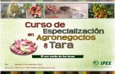 Curso de Especialización en Agronegocios de la Tara