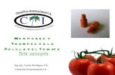 Presentación feromonas en tomate ina