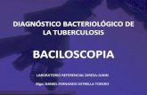 Baciloscopia set 2009