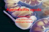 Apendicitis aguda charla en cirugía sala 999
