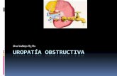 Radiología de la uropatía obstructiva, incontinencia urinaria femenina y masculina, vejiga neurogénica