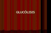 Glucólisis va
