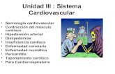 Fisiopatologia unidad 3_cardiovascular imprimir fisiopa