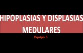 Capitulo 10 hipoplasias y displasias medulares