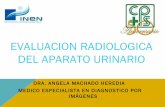 Radiologia Urológica