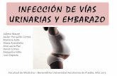 Infeccion de vias urinarias en el embarazo