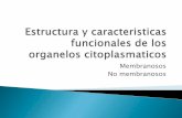Caracteristicas y estructuras fisiologicas de los organelos citoplasmaticos