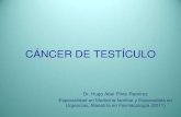 Cancer testiculo (2)