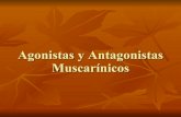Ag Y Antag Muscarinicos