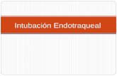 Intubación Endotraqueal y Labado Gástrico