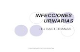 Infecciones  urinarias