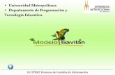 Modelo Gavilán Paso 4