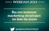 Nenad Pantelić - WebDan 2014
