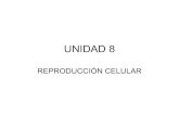 Unidad 8. reproducción celular