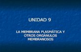 Unidad 9. Membrana plasmática y otros orgánulos membranosos