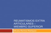 Reumatismos extra articulares – Miembro superior