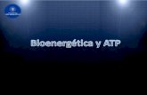 Bioenergetica y atp