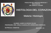 Histologia del corazon .doc