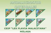 ANDALUCINATOR CATEDRALES CEIP "LEX FLAVIA MALACITANA"