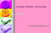 Linguas oficiais de Europa