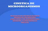 Cinetica microbiana