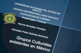 Grupos culturales existentes en méxico