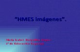 Presentación de HMES.