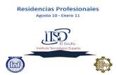 ITSG.  Residencias profesionales 2010-2011