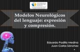 Modelos neurológicos del lenguaje: expresión y comprensión