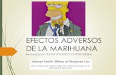 Efectos adversos de la marihuana