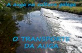 A auga na cultura galega: Transporte da auga
